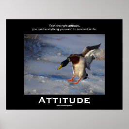 Attitude Mallard Duck Motivatie Posters