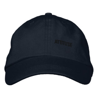 Attitude write pet
