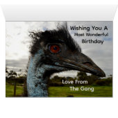 Attraction d'émeu australien, carte d'anniversaire (Intérieur Horizontal (Bas))