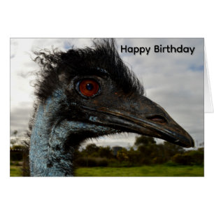 Attraction d'émeu australien, carte d'anniversaire