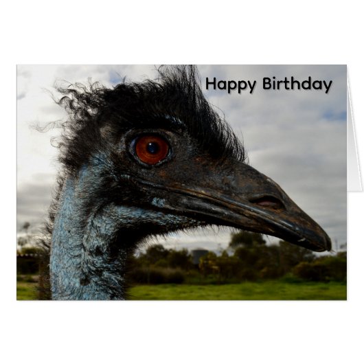 Attraction d'émeu australien, carte d'anniversaire (Devant horizontal)