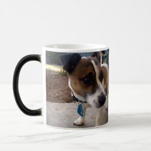 Attraction Fox Terrier, Mug de café Magic Morph