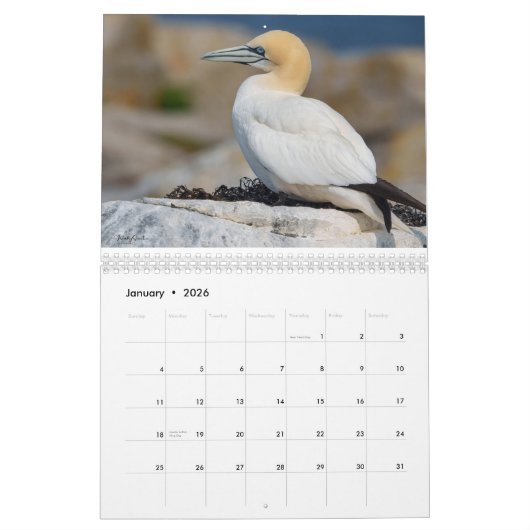 Attractions du Maine Calendrier 2025-2026 (Jan 2026)