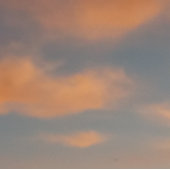 Attraper chaque rêve Mug