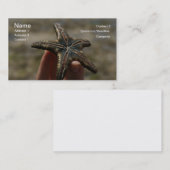 Attrapez un carte de visite de flottement (Devant / Derrière)