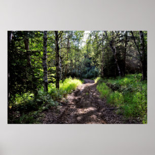 Au coin de la rue affiche