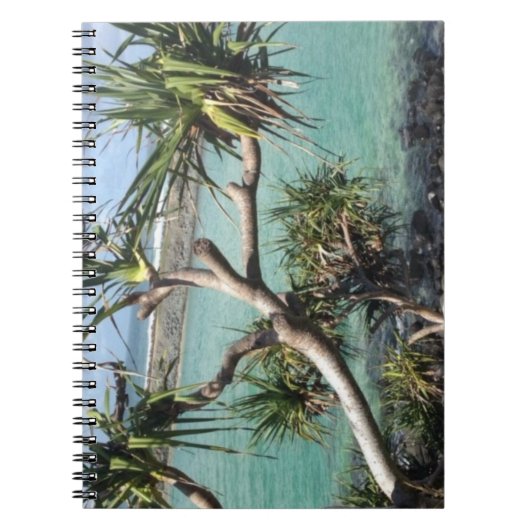 Au-dessus du Carnet du Beach Spiral Journal (Devant)