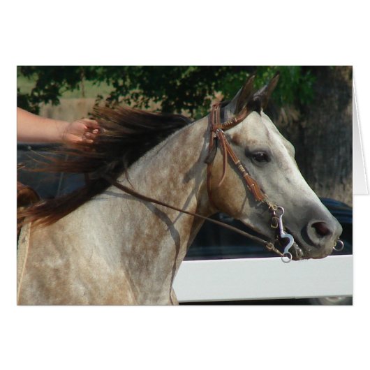 Au Horse Show (Devant horizontal)