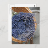 Au pays des lavandes briefkaart (Voorkant / Achterkant)