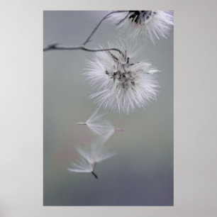 Au Revoir Autumn flower Seeds met CC0116 Poster