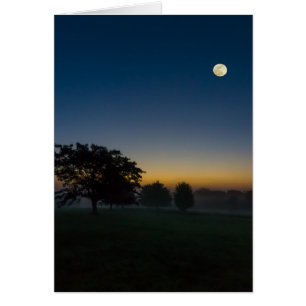 Aube D'Été Avec Lune