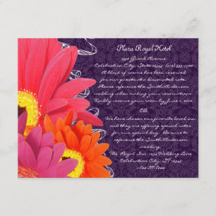 Aubergine Gerber Informatiekaartje