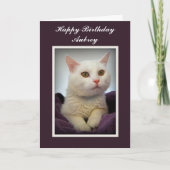Aubrey Joyeuse carte de chat blanc anniversaire (Devant)
