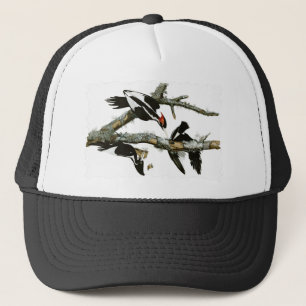 Aububon's Ivory-bult Woodpecker in Ash Tree Trucker Pet