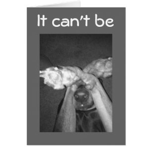 AUCUN MOYEN IMPOSSIBLE-***30e*** DIT CHIEN ÉTONNÉ