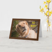 AUCUN MOYEN "VOUS" TOURNEZ **70** CARTE (Fleur jaune)