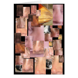 AUCUN NEZ