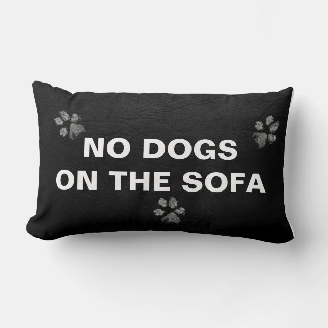 AUCUNS CHIENS SUR le coussin de SOFA (Recto)