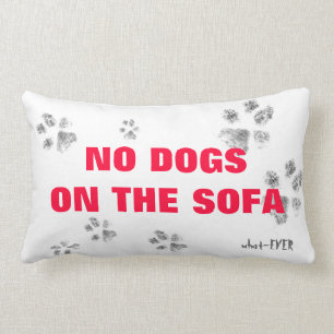Aucuns chiens sur le coussin de sofa