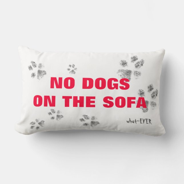Aucuns chiens sur le coussin de sofa (Recto)