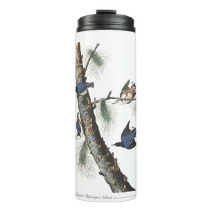Audobon White-Breasted Nuthatch (zwart afgedekt) Thermosbeker