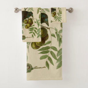 Audubon American Crow Black Bird