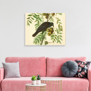 Audubon American Crow Black Bird Canvas Afdruk