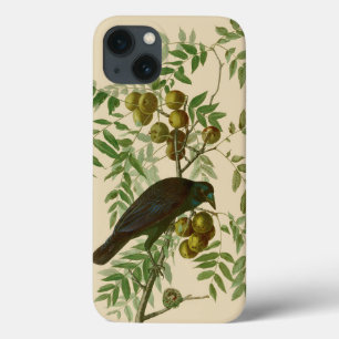 Audubon American Crow Black Bird iPhone 13 Hoesje