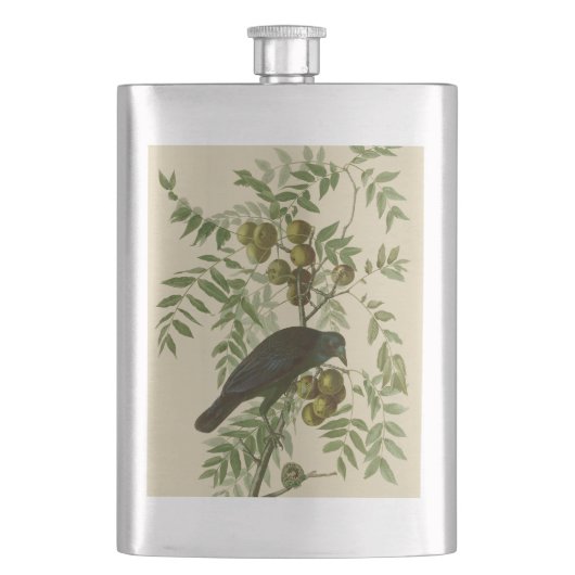 Audubon American Crow Black Bird Flacon (Voorkant)