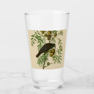 Audubon American Crow Black Bird Glas