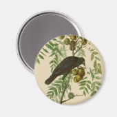 Audubon American Crow Black Bird Magneet (Voorkant / Achterkant)