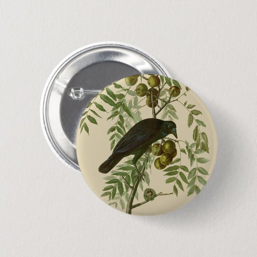 Audubon American Crow Black Bird Ronde Button 5,7 Cm (Voorkant /achterkant)
