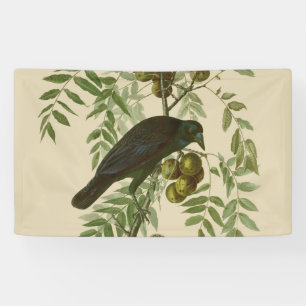 Audubon American Crow Black Bird Spandoek