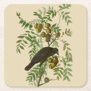 Audubon American Crow Black Bird Vierkante Kartonnen Onderzetter