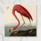 Audubon American Flamingo Bedankjes Labels (Voorkant)