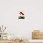 Audubon American Flamingo John James Audubon Poster (Keuken)