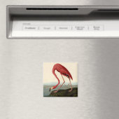 Audubon American Flamingo Magneet (Insitu (Vaatwasser))