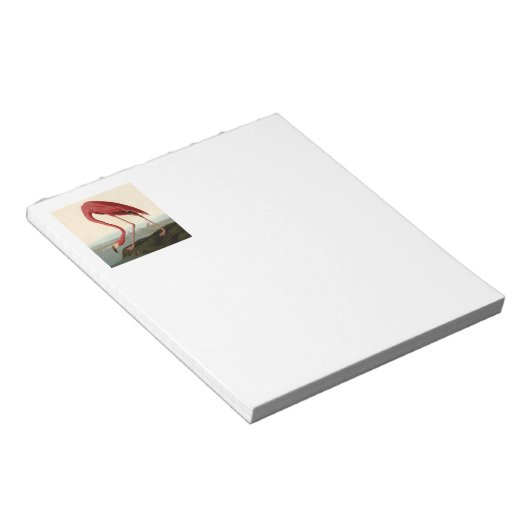 Audubon American Flamingo Notitieblok (Schuin)