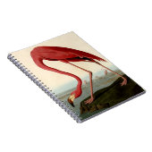 Audubon American Flamingo Notitieboek (Rechterzijde)