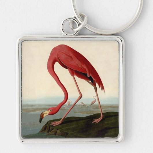 Audubon American Flamingo Sleutelhanger (Voorkant)