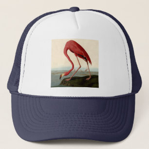Audubon American Flamingo Trucker Pet