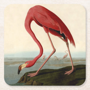 Audubon American Flamingo Vierkante Kartonnen Onderzetter