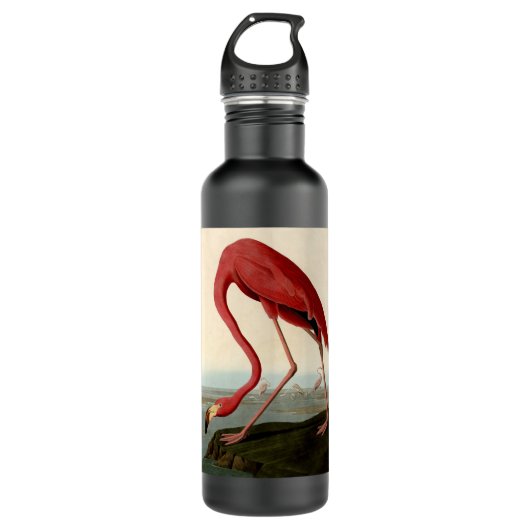 Audubon American Flamingo Waterfles (Voorkant)
