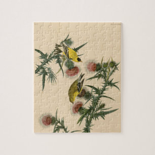 Audubon American Goldfinch Bird Painting Legpuzzel