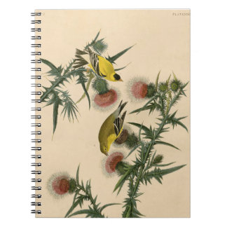  Audubon American Goldfinch Bird Painting Notitieboek