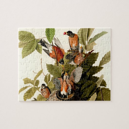 Audubon American Robin Wildlife Bird Legpuzzel (Horizontaal)