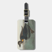 Audubon American Scoter Duck Classic Bagagelabel (Voorkant verticaal)