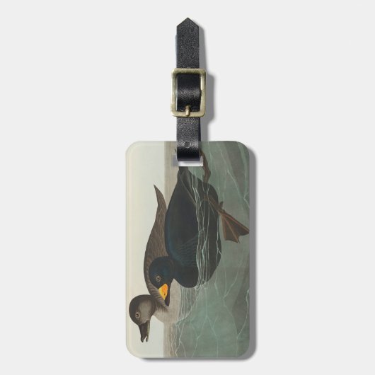 Audubon American Scoter Duck Classic Bagagelabel (Voorkant verticaal)