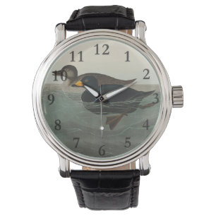 Audubon American Scoter Duck Classic Horloge