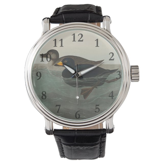 Audubon American Scoter Duck Classic Horloge (Voorkant)